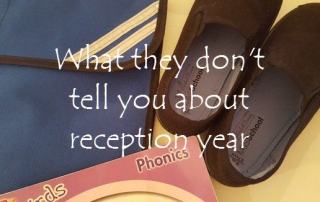What they don't tell you about reception year featured