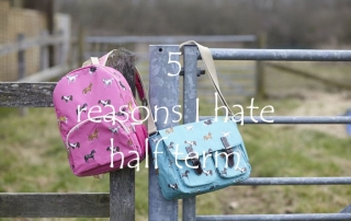 5 reasons I hate half term