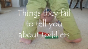 Things they fail to tell you about toddlers