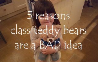reasons class teddy bears are a BAD idea