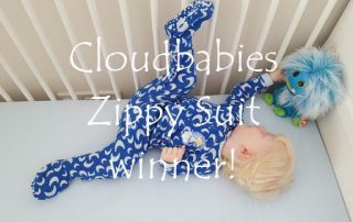 Zippy Suit review winner