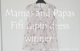 Fifi Lapin dress winner