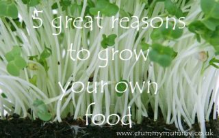 5 great reasons to grow your own food