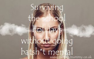 Surviving the school holidays without going batsh*t mental