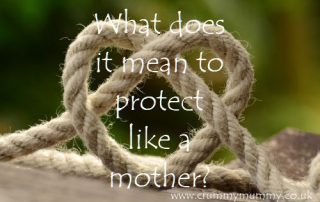 What does it mean to protect like a mother