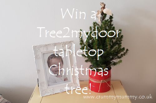 Win a Tree2mydoor tabletop Christmas tree