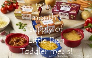 Win a month's supply of Little Dish toddler meals