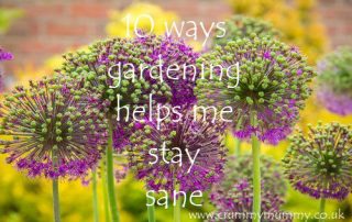 ways gardening helps