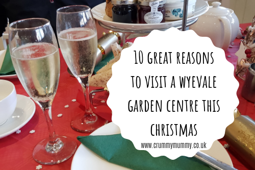 reasons to visit a Wyevale Garden Centre 