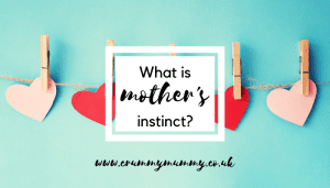 mother's instinct