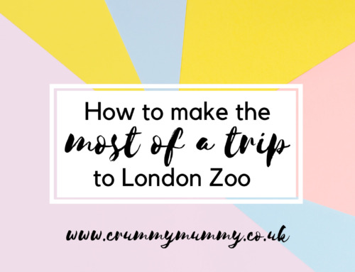 How to make the most of a trip to London Zoo