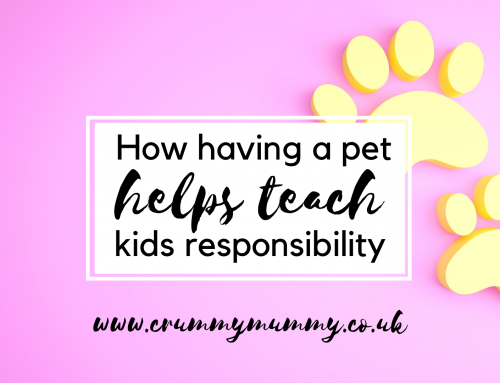 How having a pet helps teach kids responsibility