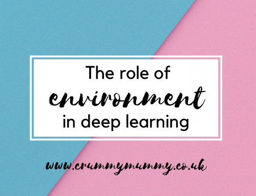 The role of environment in deep learning